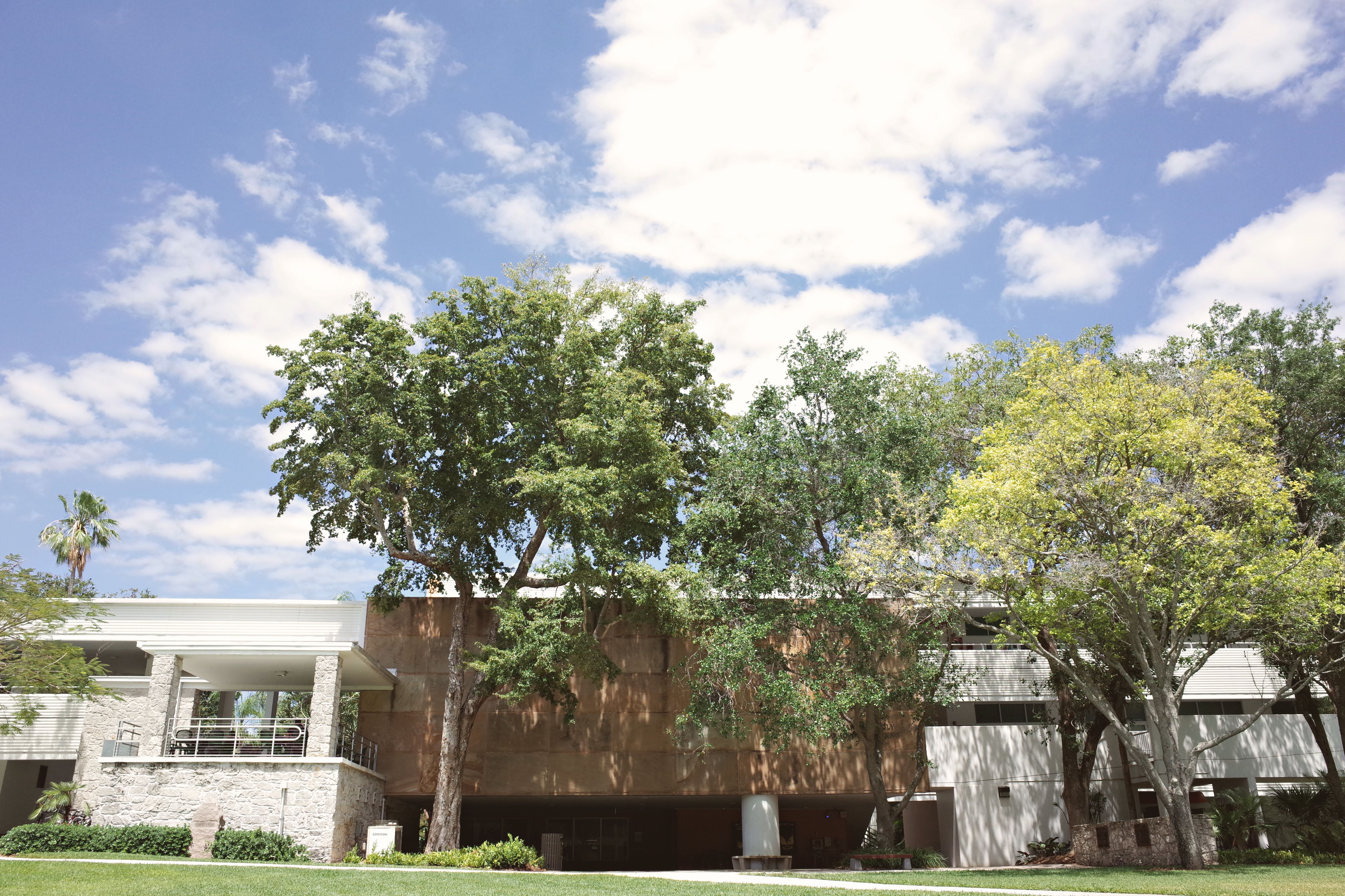 Schools in Pembroke Pines: A Home Buyer's Guide to Making the Right Move