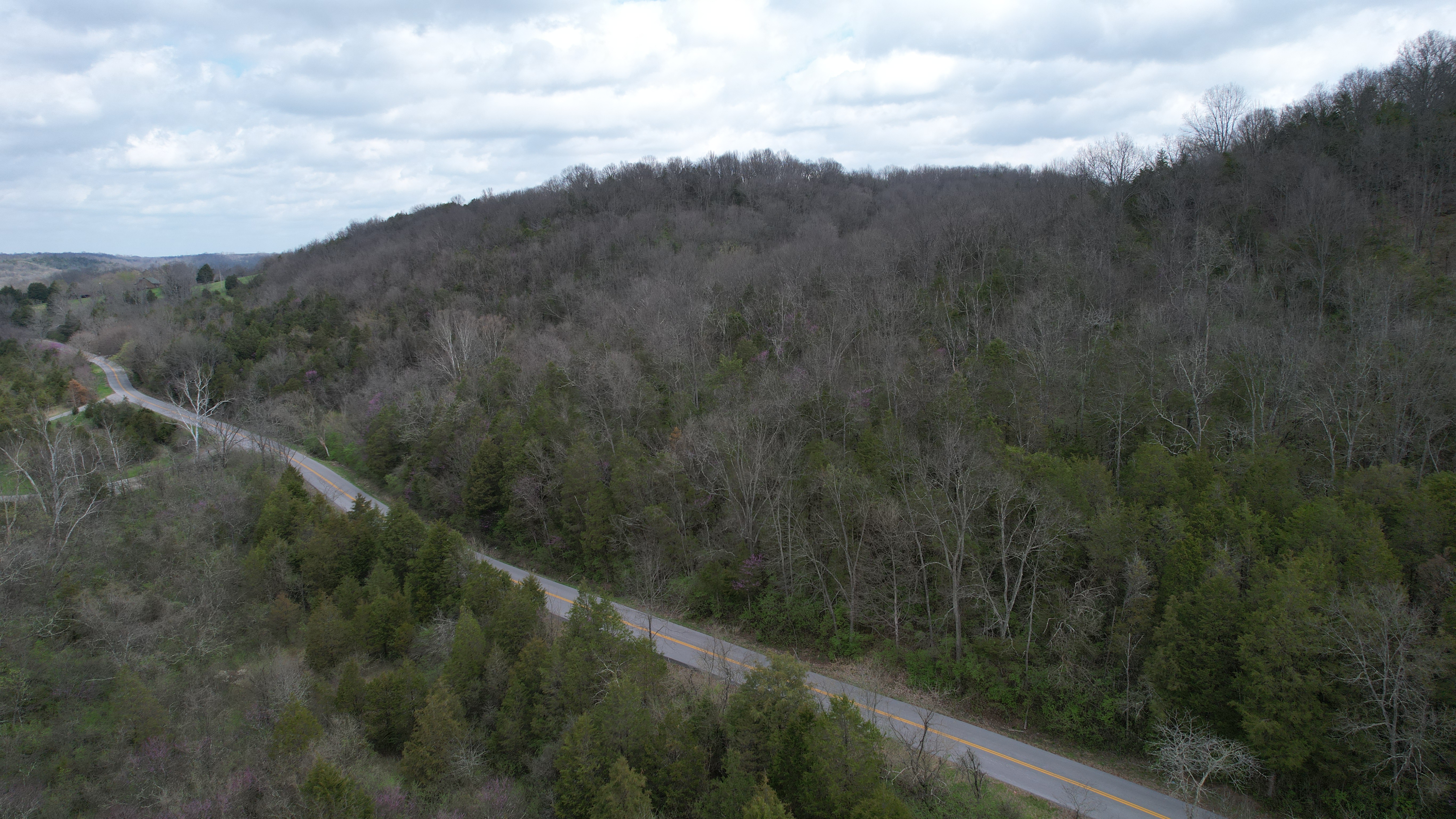 52 Acres | Where the Trees Take Over