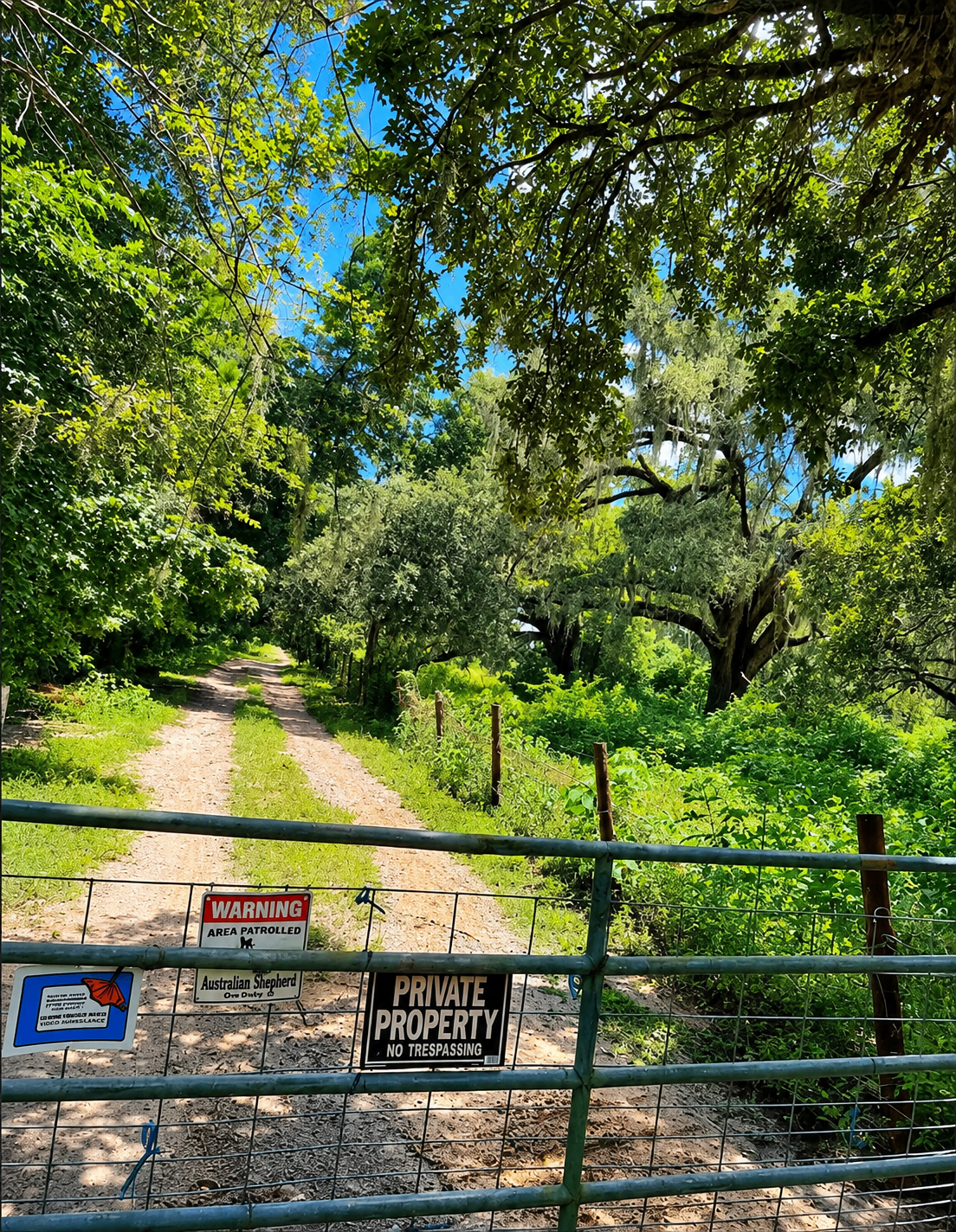 5-ACRE EQUESTRIAN ESTATE WITH 2 BARNS & NO HOA