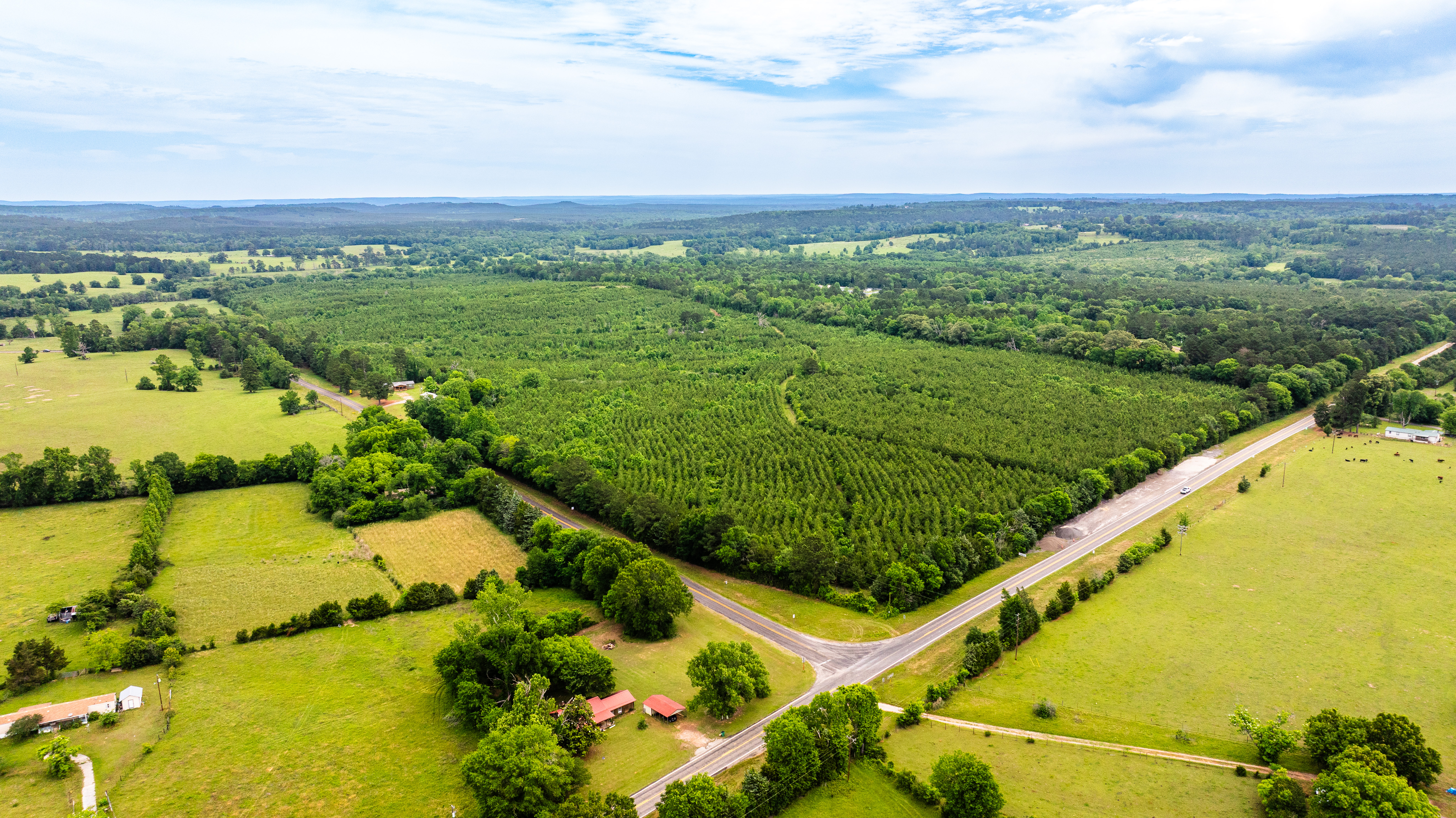 185+ East Texas Land